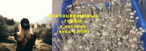 PSILOCYBIN Козловка