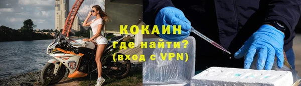 PSILOCYBIN Козловка