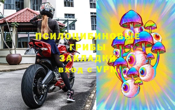 PSILOCYBIN Козловка