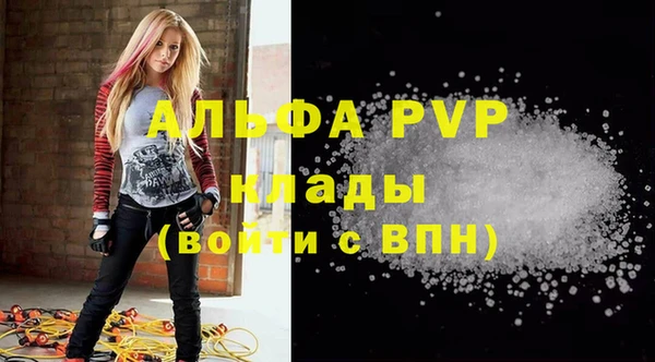 PSILOCYBIN Козловка