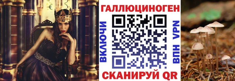 Купить  Обоянь  Псилоцибиновые грибы Magic Shrooms 